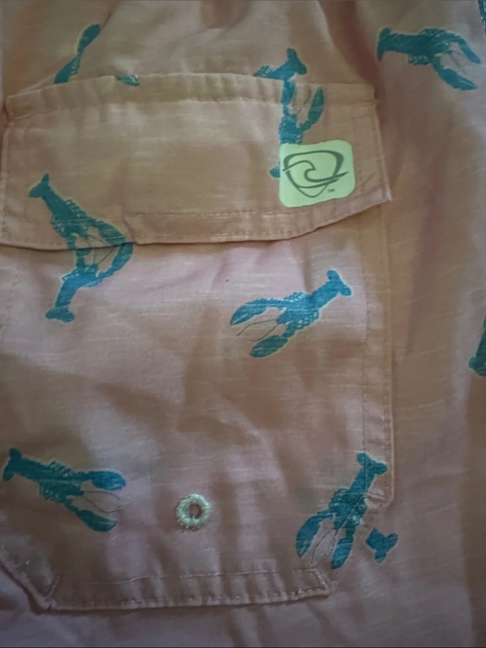 Kids' Pink lobster -Print Swim Trunks with Drawstring